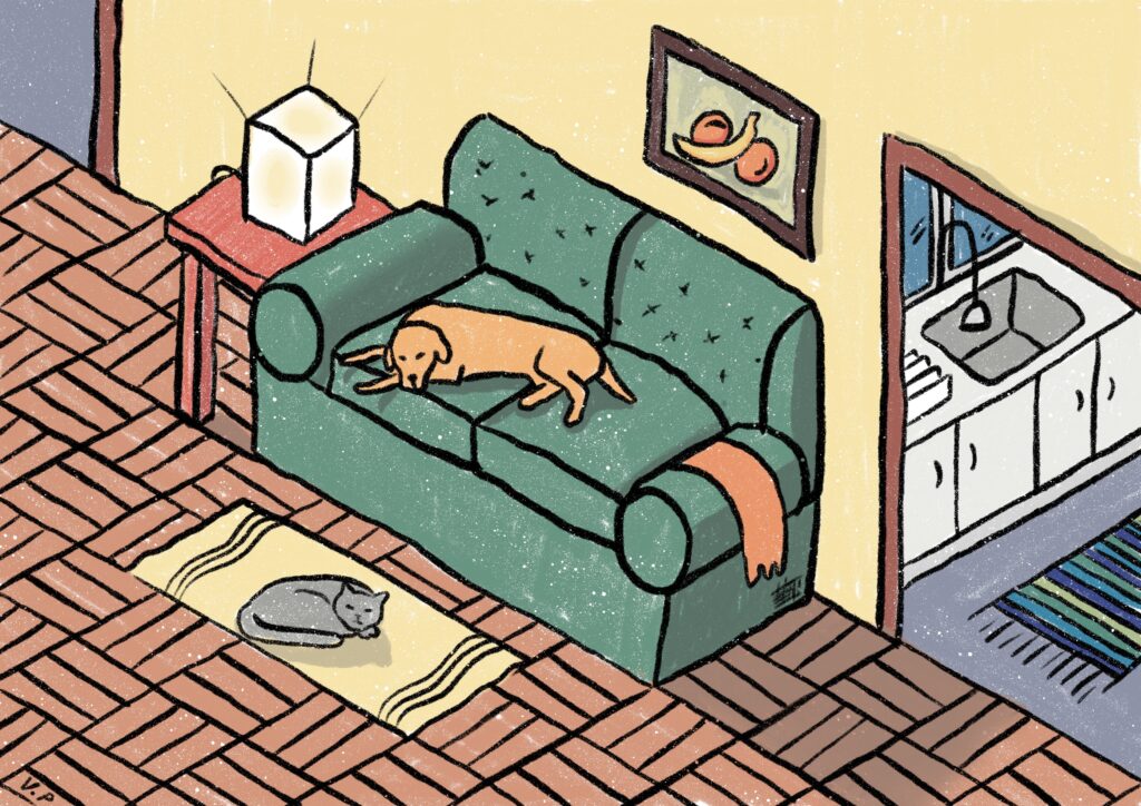 Cat Dog Resting